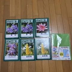 Item thumbnail for item 2833e42b-ae8f-4083-bb7f-f78a51a24e10