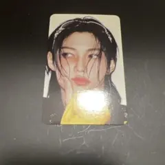 StrayKids スキズ KARMA skzoo 封入 トレカ フィリックス