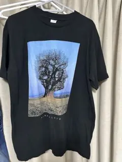PINK FLOYD Tシャツ Lサイズ