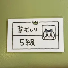ちいかわ ハチワレ 草むしり検定 5級 カード　ナガノ　ノベルティ　うさぎ