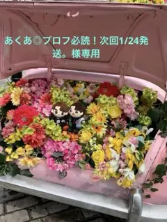 あくあ◎プロフ必読！次回1/24発送。様専用