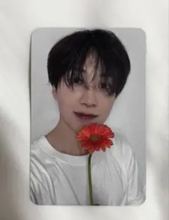 ホームレース　ミーグリ　クジ　トレカ　スンホンユー　ホンユー　入場特典