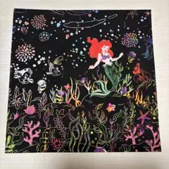 Item thumbnail for item 4d2d4957-b732-4cc0-a53f-df2509b5d783