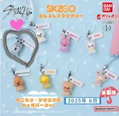 SKZOO ガチャ　めじるしアクセサリー　ウルフチャン　匿名配送