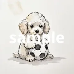 サッカーボールを抱えてる動物たち