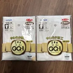 【専用です】GUNZE GQ-1 半袖 Tシャツ M 2枚セット