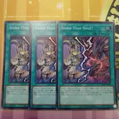 2026年最新】stake your soulの人気アイテム - メルカリ