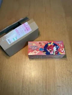 新品、未使用⭐︎ポケモンセンター ヒロシマ スペシャルBOX