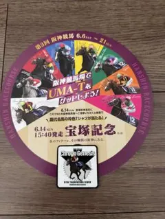 阪神競馬場 宝塚記念 うちわ　クロノジェネシスシール　非売品のサムネイル