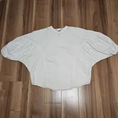 Item thumbnail for item 2c54d2d2-0c7f-4c78-a740-e6613e0f9981