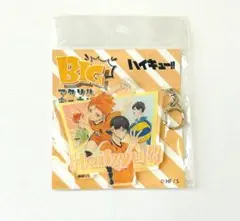 2026年最新】ハイキュー!! アクリルビッグキーホルダー 日向&影山の