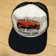 Item thumbnail for item c37576c2-dc40-4d39-b58d-bebe335eb90f