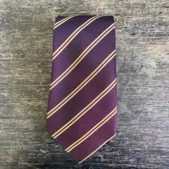 Big Ten Select 紫 ストライプ ネクタイ