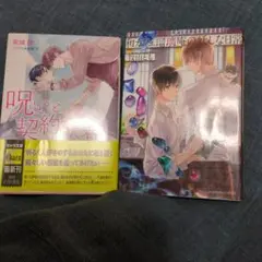 BL　和カフェ瑠璃庵の妖しな日常　呪いと契約した君へ