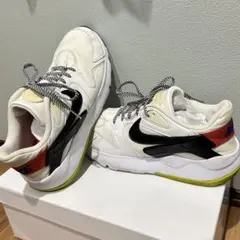 ナイキ LD Victory ビクトリー　メンズ　シューズ スニーカー ホワイト