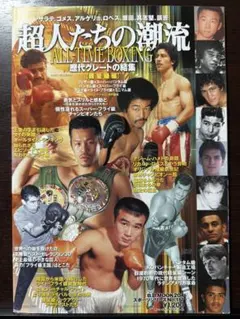 ボクシングポスター シリモンコンNパークビューVS辰吉丈一郎 - メルカリ