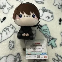 劇場版 忍たま乱太郎 ドクタケ忍者隊最強の軍師 もちぴこぬいぐるみ　土井半助