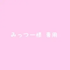 みっつー様専用 ワッペン