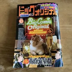 ビッグコミック 青年漫画