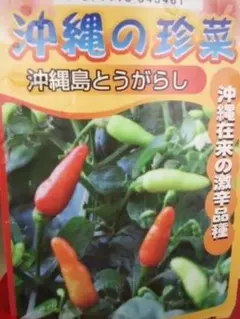 虎丸様 リクエスト 2点 まとめ商品