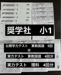 奨学社　小3 理科　1年分　しょうがく社　リビューテスト　実力テスト 2026年最新】奨学社 小1 公開学力テストの人気アイテム - メルカリ