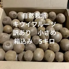宮城県産　自然栽培　訳あり　小さいキウイフルーツ　箱込み　5キロ