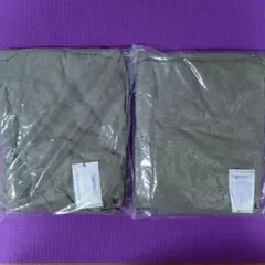 Item thumbnail for item 48374463-adc6-4160-8128-8fa1b24e6fc1