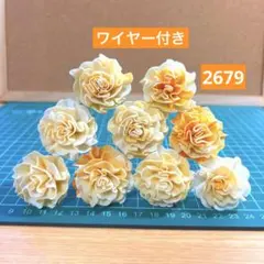 ソラフラワー　2679