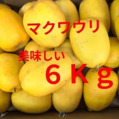 マクワウリ　美味しい６Ｋｇのサムネイル