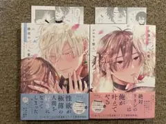 砂漠の花に愛のくちづけ 上下 シロヒト梨太 BL 全巻セット まとめ売り 特典
