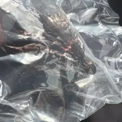 一番くじ モンスターハンターワイルズ C賞 2種類