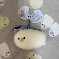 つぶらな瞳のなまがき　ばぶちゃんず　おめかし　むぎゅぬい　あさり
