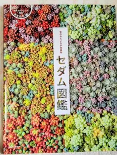 Item thumbnail for item 96d82330-157a-4eef-ad69-b4cfa444580c