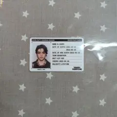 SEVENTEEN エスクプス Happy Burstday ID トレカ