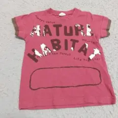 Item thumbnail for item 1367c2dc-0e5e-401f-b7e0-499e731056b1