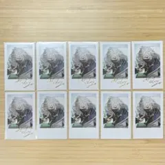 にじさんじ Dytica デビュー チェキ 叢雲カゲツ 10枚セット 箔押し