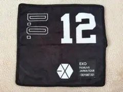 EXO FILMLIVE JAPAN TOUR 2021 タオル　ディオ
