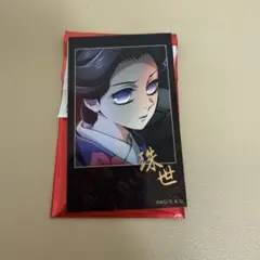 鬼滅の刃 ティザービジュアル第1弾 ランダムチェキ風ブロマイド 珠世