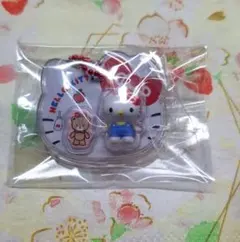 サンリオ BIC缶バッジ パッケージチャーム キティ ハローキティ ポチャッコ