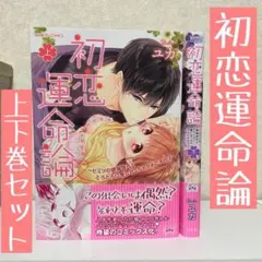 【値下げ】初恋運命論　上下巻セット