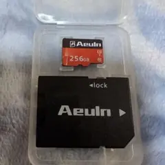 Aeuln 256GB MicroSDメモリーカード