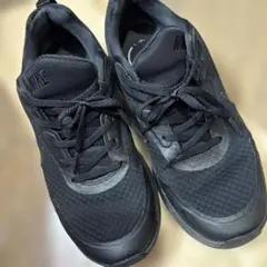 Item thumbnail for item a1828b71-6e8f-4bff-bb24-df20090d7f0a