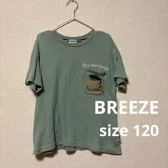 BREEZE 120