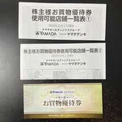 ヤマダ電機 お買物優待券 3,000円 （500円×6枚セット）