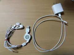 アップル純正Lightning充電器　イヤフォンセット