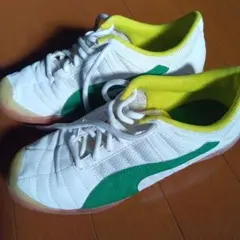 Item thumbnail for item 7f6e6644-85a4-41d1-a26a-e09f581d9fe9