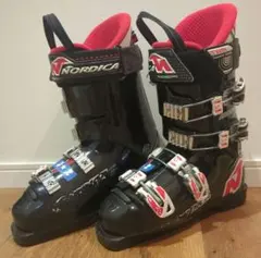 2026年最新】ノルディカ ドーベルマンの人気アイテム - メルカリ