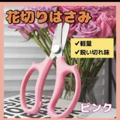 【訳あり‼️】園芸ハサミ 人気庭師のおすすめ剪定ばさみ ステンレスのサムネイル