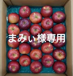 【まみぃ⭐️断捨離中⭐️様専用】