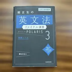 大学入試問題集 関正生の英文法ファイナル演習ポラリス[3 発展レベル]のサムネイル